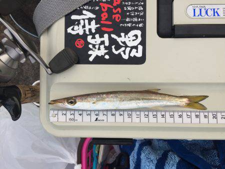 本命に思い届かず