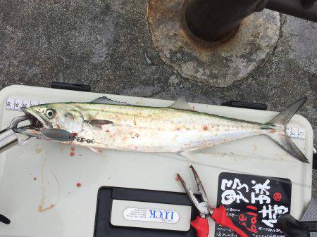 やっぱりホームタウン