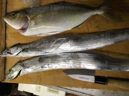 タチウオ狙いで