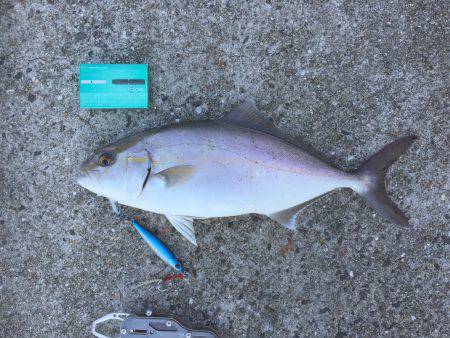 ショアジギング