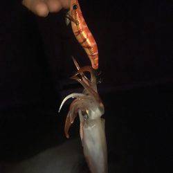 もうチョットイケそう