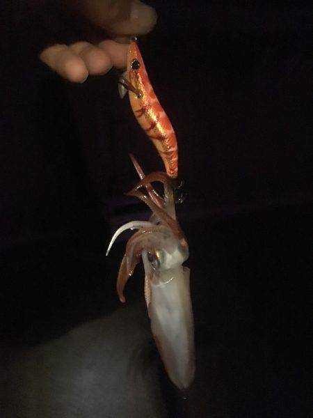 もうチョットイケそう