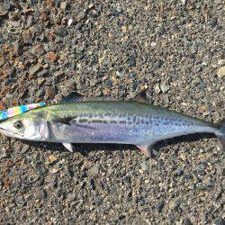 めずらしく2人とも