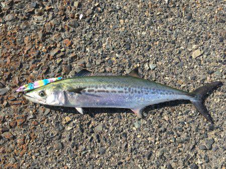 めずらしく2人とも