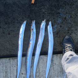 思ったより乏しい