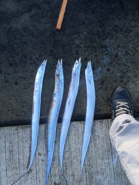 思ったより乏しい