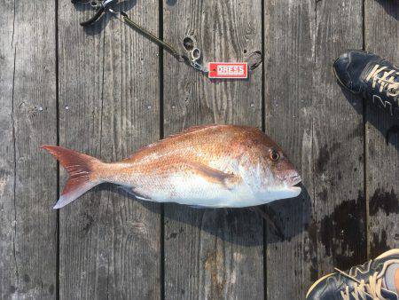ウチノ海イカダで驚愕の大物