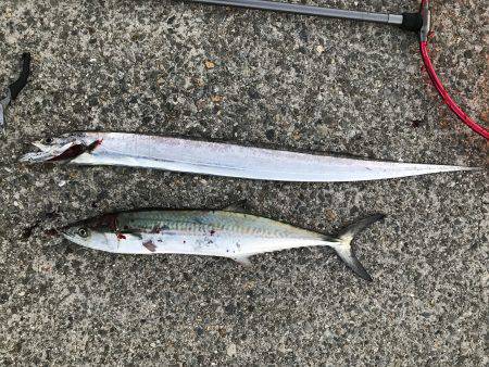 みんなが釣れるわけじゃない