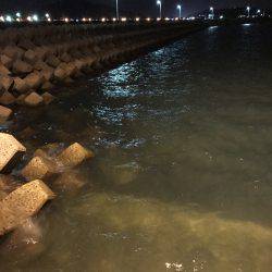 今夜も新子釣り