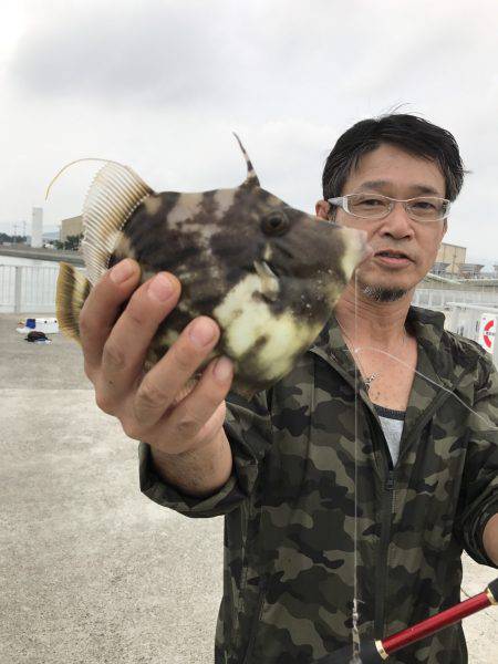 イカからのカワハギ