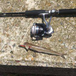 メタルマル爆釣