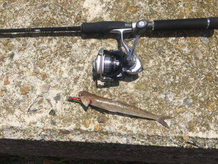 メタルマル爆釣