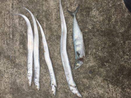 ウキ→ワインド→ショアジギ