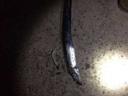 急に渋くなりました