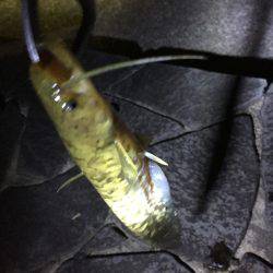 高校の友達と！