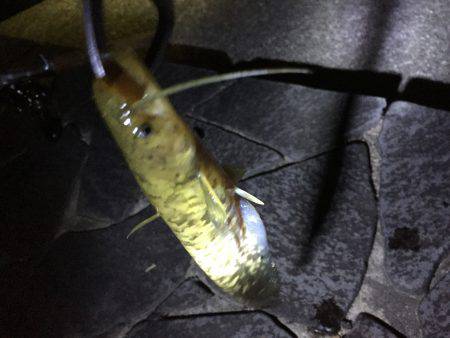 高校の友達と！