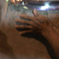 今年初のタチウオ