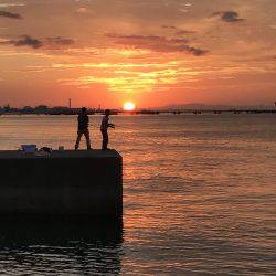 渋いキスさんはどこ?