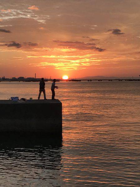 渋いキスさんはどこ?