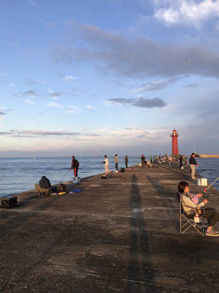 えいのいやか、せ