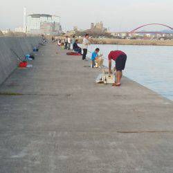 太刀魚入れ食い・・・