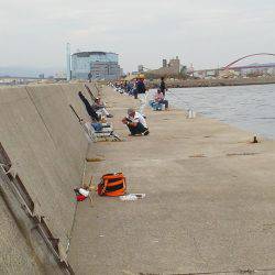 太刀魚ゲット・・・・・