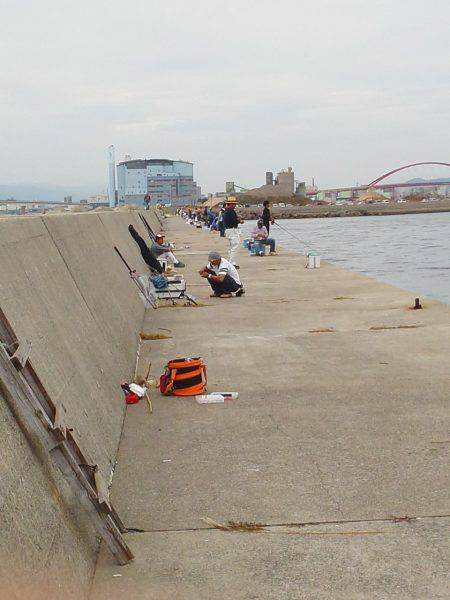 太刀魚ゲット・・・・・