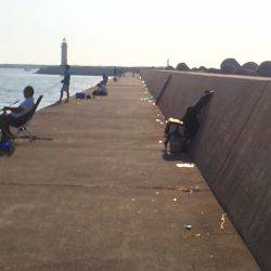 太刀魚ゲット・・・・・