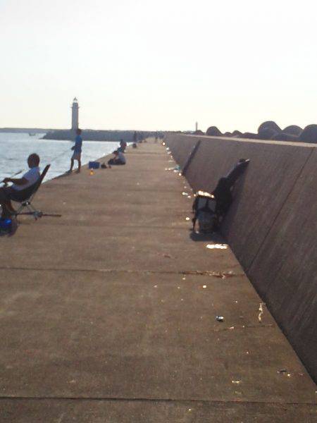 太刀魚ゲット・・・・・