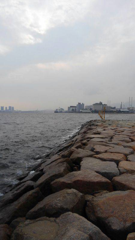 なんとか、タチウオ釣れました。