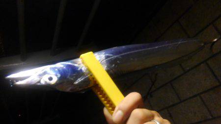 シーサイドコスモ