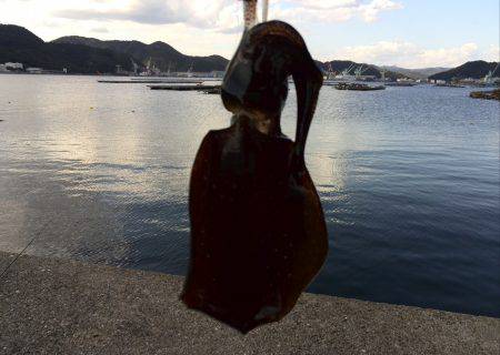 短時間エギング