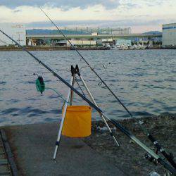 エサ無しサビキ