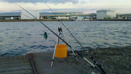 エサ無しサビキ