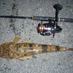 チニングの外道