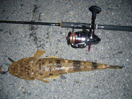 チニングの外道