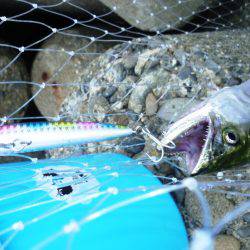 ５バイトやのに…１ゲット