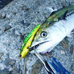 朝練(今週2回目）