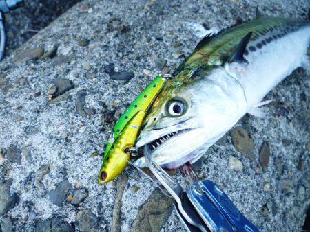 朝練(今週2回目）