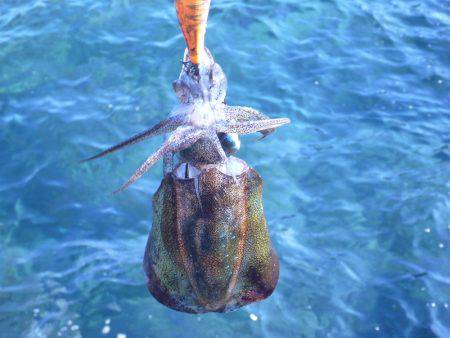 ハイプレッシャーの中ぽつりぽつり