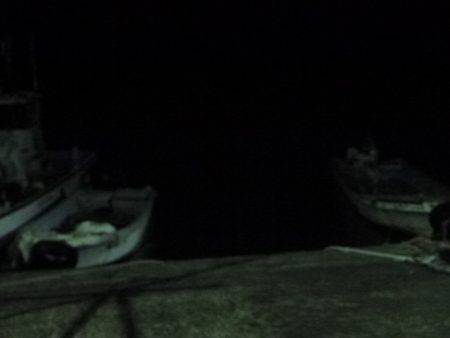 秋の漁港は夜も大賑わい