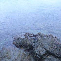 プレッシャーの低い地磯をラン&ガン