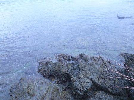 プレッシャーの低い地磯をラン&ガン