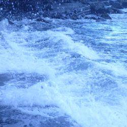 釣るまで帰らん