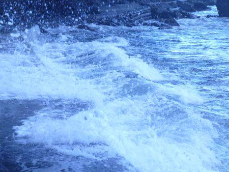 釣るまで帰らん