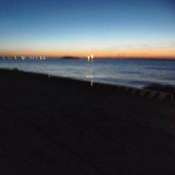 小サバ減り小アジそこそこ