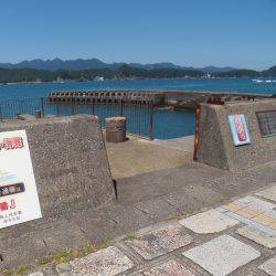 小アジ入れ食い！