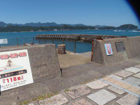 小アジ入れ食い！