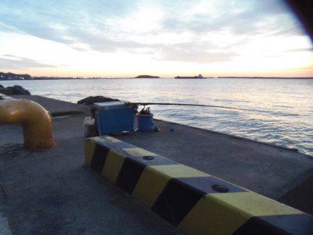 ２０㎝級の小サバいなくなった