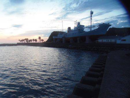 サビキで30㎝超のグレ